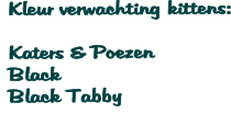 Kleur verwachting kittens:   Katers & Poezen  Black  Black Tabby