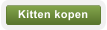 Kitten kopen